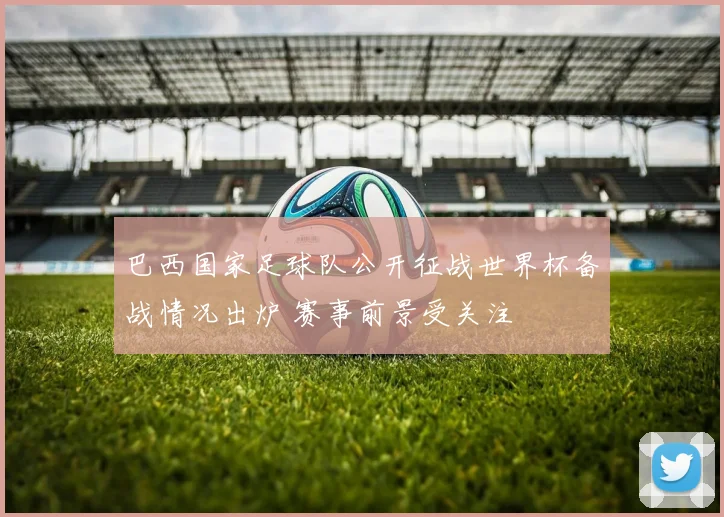 巴西国家足球队公开征战世界杯备战情况出炉 赛事前景受关注
