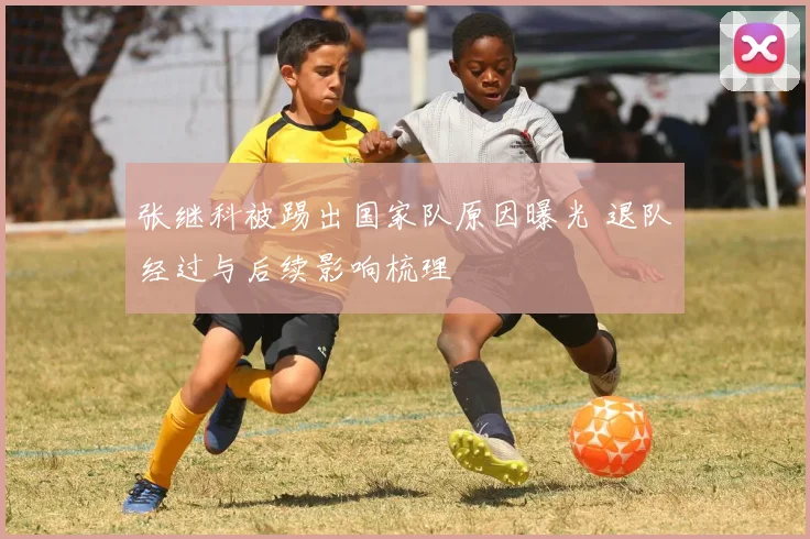 张继科被踢出国家队原因曝光 退队经过与后续影响梳理