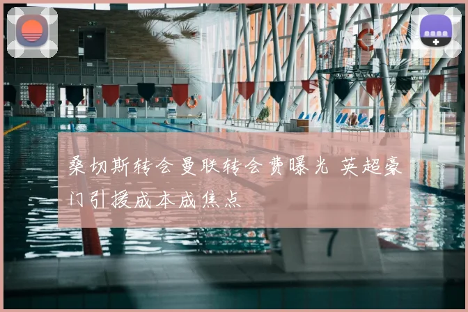 桑切斯转会曼联转会费曝光 英超豪门引援成本成焦点