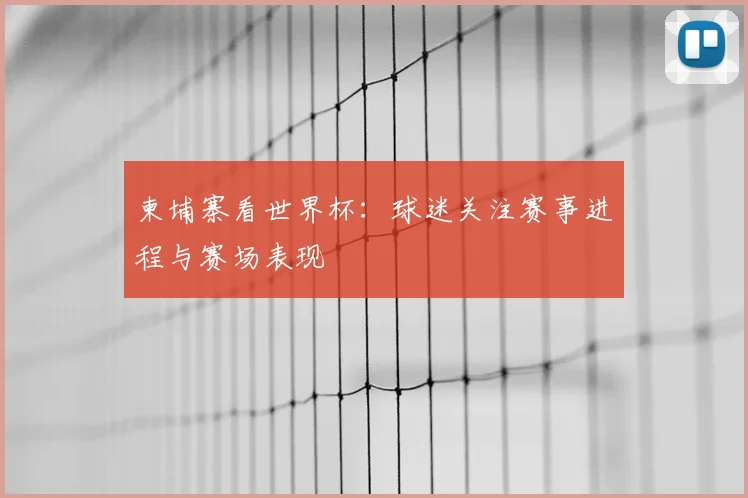 柬埔寨看世界杯：球迷关注赛事进程与赛场表现